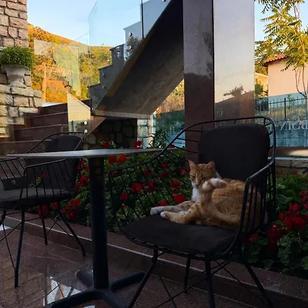 Hotel Albsin